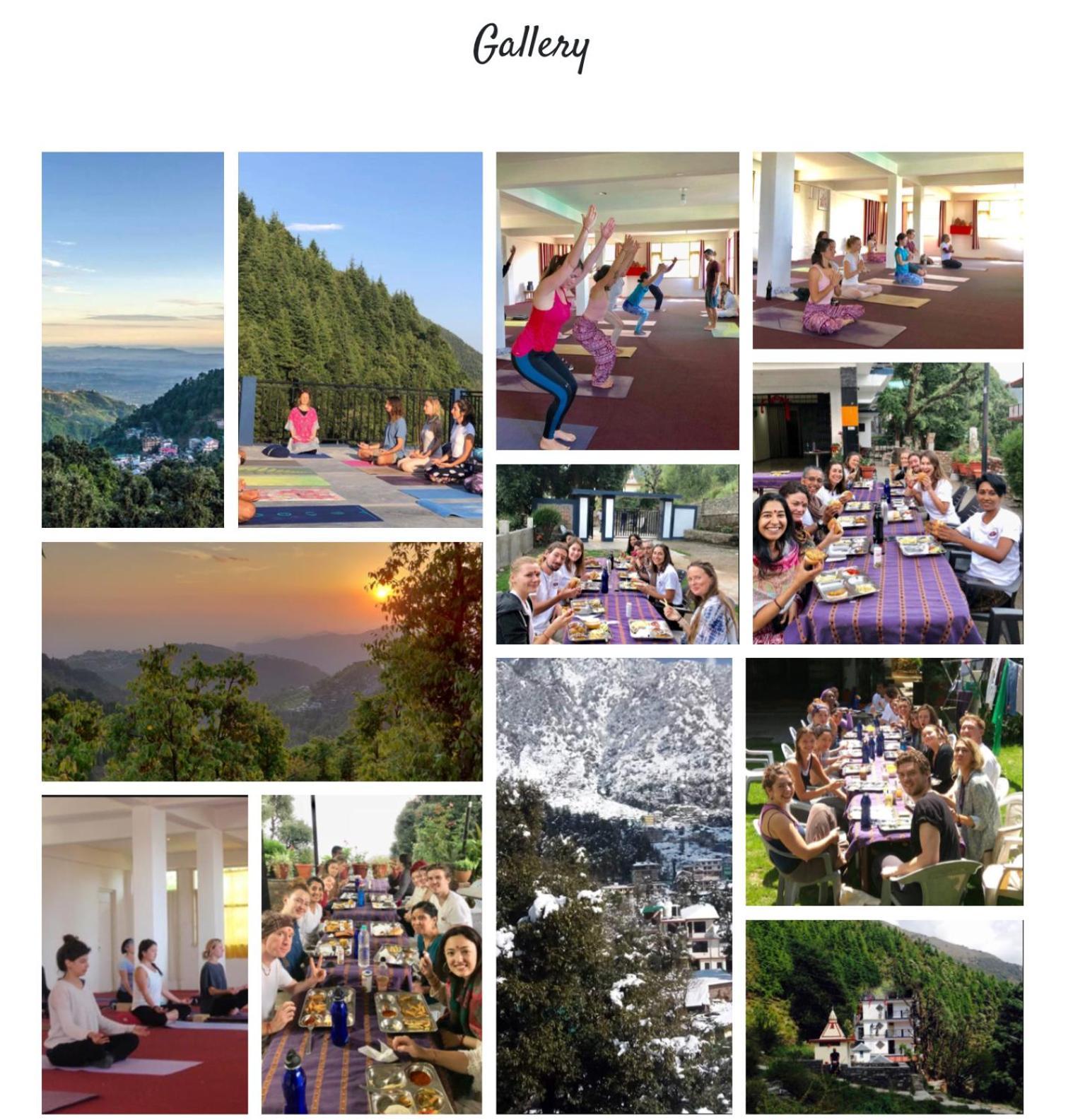 Oasis Guest House Bhagsu D'Shala Дармсала Екстер'єр фото