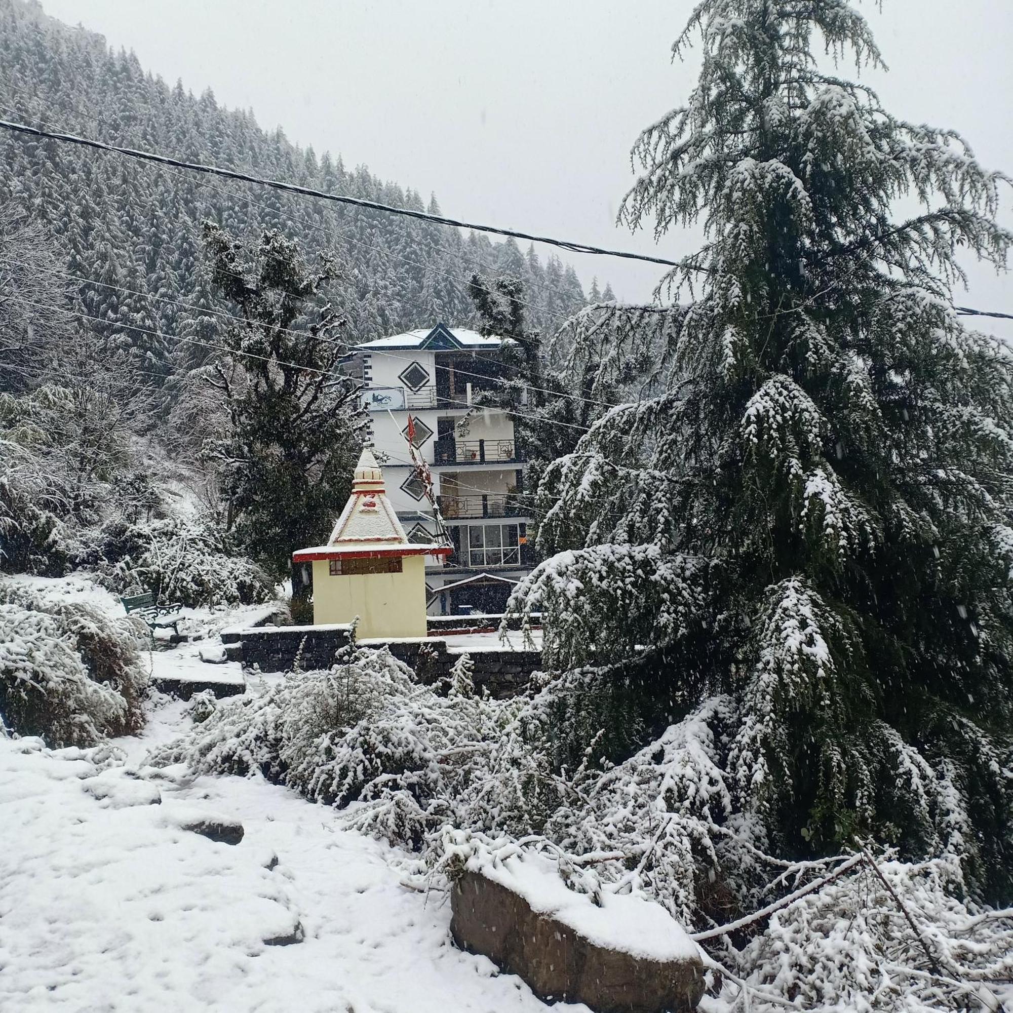 Oasis Guest House Bhagsu D'Shala Дармсала Екстер'єр фото